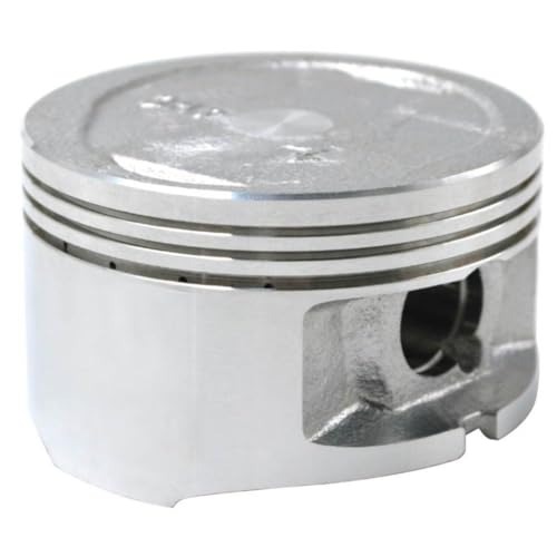 STD +100 69 ~[g 69.25 ~[g 69.5 ~[g 69.75 ~[g 70 ~[gI[goCsXgLbgsOԃI[goCiƌ݊ YP250 }WFXeB 4HC 2004 2005 200