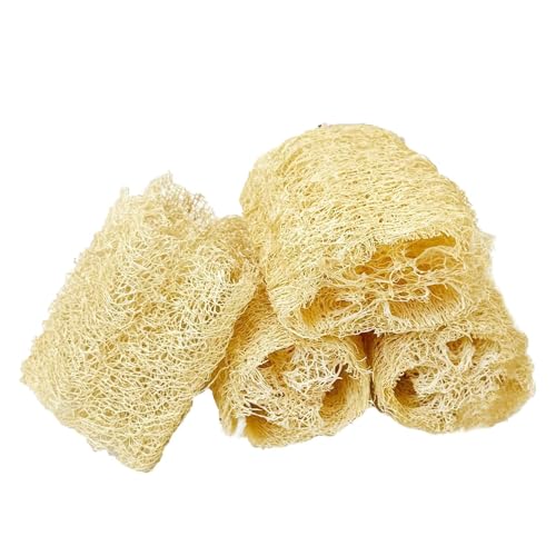 p肨,4 w`} nX^[ Vѓ,WFr ދ | D VF^[ Vbv L  rO xbh[  ItBX Ap[g P[Wp