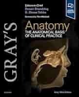 Gray's Anatomy 第39版 Gray's Anatomy, 39th Edition: The Anatomical Basis of