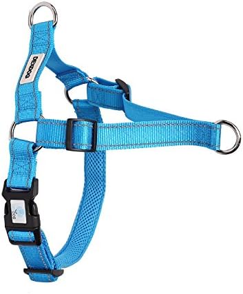 DEXDOG EZTrainer No Pull Front Attachment Clip Dog Harness for Training Running Comfort (X-Large, Blue)