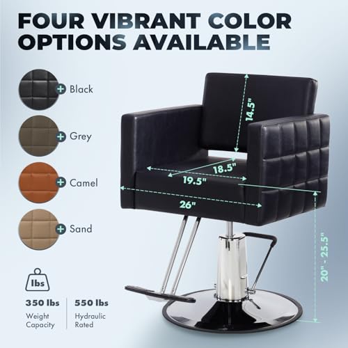 Professional Salon Barber Chair Hydraulic