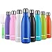 Flintronic Portatile Borraccia, 500ML Termica Bottiglia Acciaio Inox Bottiglia Acqua d'Acqua Sportive Coppa da Viaggio con Spazzola per Scuola, All'aperto, Yoga, Palestra (Mantenere Caldo/Freddo)