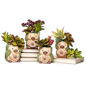 Bird/Penguin Mini Succulent Pots, 3.6x3.5x2.3,Ceramic Animal Succulent planters,Cute Set- 4 Small Flower pots,Cactus Animal Planter, Indoor/Outdoor Plant Pot,Funny Planters with Drainage Hole BirdPenguin Mini Succulent Pots 36x35x23Ceramic Animal Succulent plantersCute Set 4 Small Flower potsCactus Animal Planter IndoorOutdoor Plant PotFunny Planters with Drainage Hole