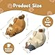 PLLYPE Funny Cat Holder, 2 Stücke Katzen Handy Ständer, Katze handyhalter, Niedlicher Handyhalter für Tisch, Schreibtisch, Dekoration