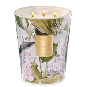 M&SENSE 3 Wick Soy Candles for Home Scented, Pear & Fressia Scented Aromatherapy Candle for Stress Relief, 35oz 150 Hour Burn Time, Long Lasting Highly Scented Candle Gift