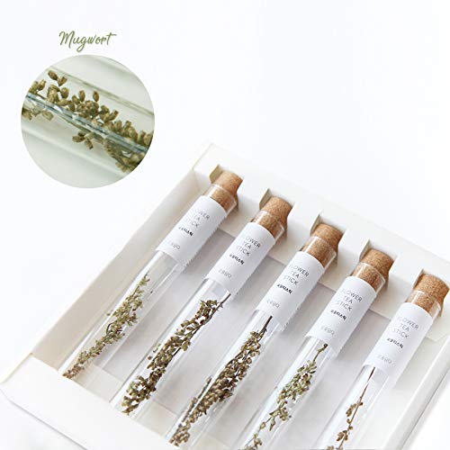 Image of KKOKDAM Premium Flower Tea Stick Collection (Single Mugwort (5 Sticks))