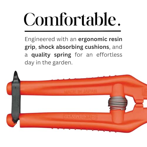 Tijeras profesionales para jardinería CHIKAMASA TP-530S miniatura 4
