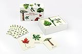 wunderschön gestaltetes Memo-Spiel mit Lerneffekt