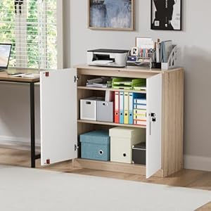 anrekl Aktenschrank, Büroschrank Abschließbarer Schrank mit Einlegeböden, Mehrzweckschrank Höhenverstellbar Aufbewahrungsschrank Aktenschränke für Büro, Homeoffice, Wohnzimmer