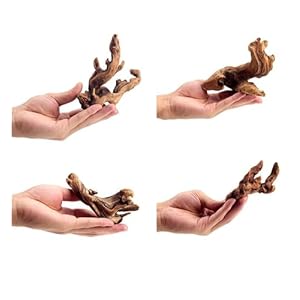4-teilig. kleinen natürlichen Treibholz für Aquarien, 7,6-15 cm, sorgfältig ausgewähltes natürliches Aquarium-Dekor, Treibholz für Reptilienbecken, Reptilienbecken, Holzdekor