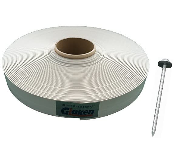 洋書〉愛と結婚：20世紀中央タイにおける配偶者選択 接着剤 英語