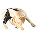 Hunde-Kniebandage – Bandage für Hinterbein, Bein oder Vorderbein, verstellbare Beinstütze für Hinterbeine, Bänderverletzungen, lindert Schmerzen und reduziert Schmerzen