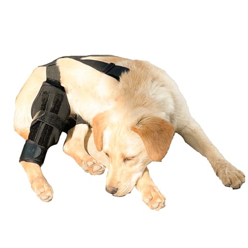 Hunde-Kniebandage – Bandage für Hinterbein, Bein oder Vorderbein, verstellbare Beinstütze für Hinterbeine, Bänderverletzungen, lindert Schmerzen und reduziert Schmerzen