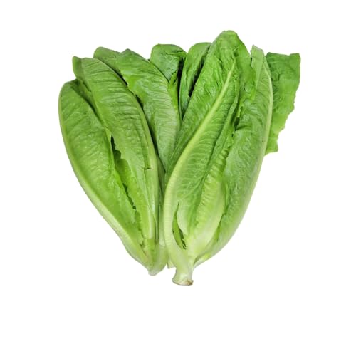 Zenxin Organic Cos Lettuce 200g