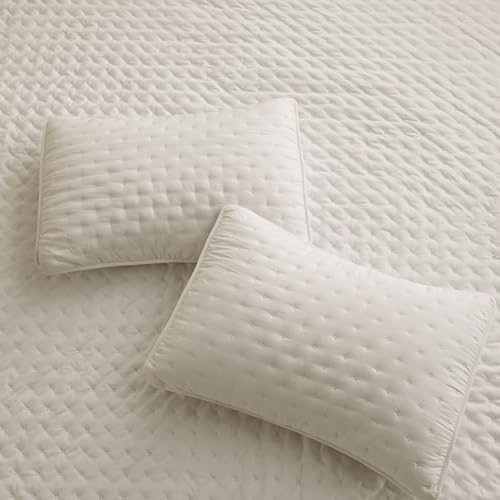 ROARINGWILD Beige Queen Size Quilt Bedding Set with 2 Pillow Shams, Full Lightweight Soft Microfiber Bedspread Coverlet, Thin Comforter Bed Cover for All Season, 3 Pieces, 90x90 inches