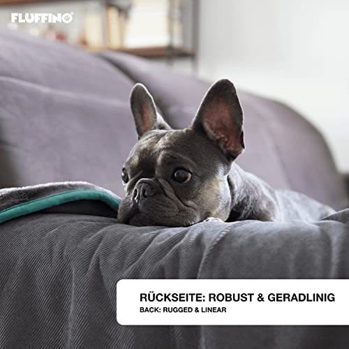 FLUFFINO® Hundedecke/Wendedecke - Hochwertig, flauschig weiche & robuste Oberseite (150x100 cm, 40°C waschbar, Grau) Kuscheldecke/Liegedecke für große und kleine Hunde - Sofadecke