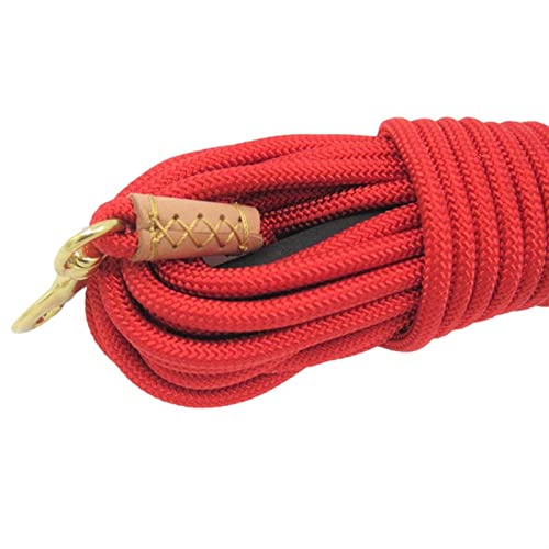 Expert tips for Five Domains Nylon Pet Leash