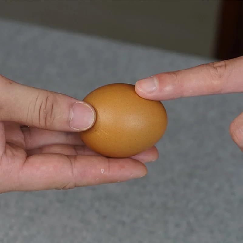 おもちゃ trick 卵 おもちゃのたまご