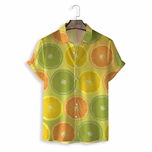 Chemise de plage d'été boutonnée style Aloha et mode tropicale