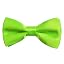 Solid Lime Green