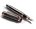 Fountain Pen by F. Salvatore Medium Metal Nib Pen and Ink Refill Converter | Excellent Writing and Calligraphy Instrument | Gun Metal Black and Rose Gold Trim and Elegant Design