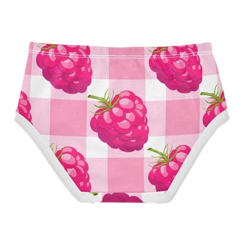 Designer Girls Underwear Toddler 2t Cotton Cute Panties Girl Cartoon Pink Raspberry Gingham Kids Undies Briefs2