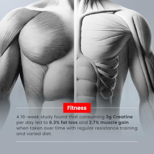 Image of Bigmuscles Nutrition Creatine [155g, 50 Servings]|Green Apple | Micronized Creatine Monohydrate To Support Lean Muscle Repair & Recovery|Increase Strength&Athletic Performance,Powder, 1 count