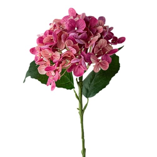 AȃAWTC̉ |  | tFCNu[Pt[ | tFCNt[ tFCNAWTCt[Zbg AȃAWTC̉ԃu[P EFfBOp[eB[ z[fR[V