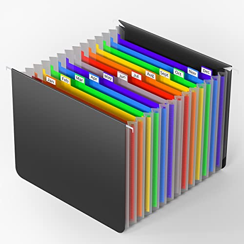 Plastic Expanding Hanging File Folders Letter Size,13 Expandable Pockets,Colored Monthly Tabs,Innovative Accordion Hanging Folder For Filing Cabinet,Fun Storage Office Supplies,Rainbow Black #TOP7