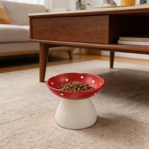 Gamelle surélevée pour chat en champignon : ensemble eau et nourriture mignon