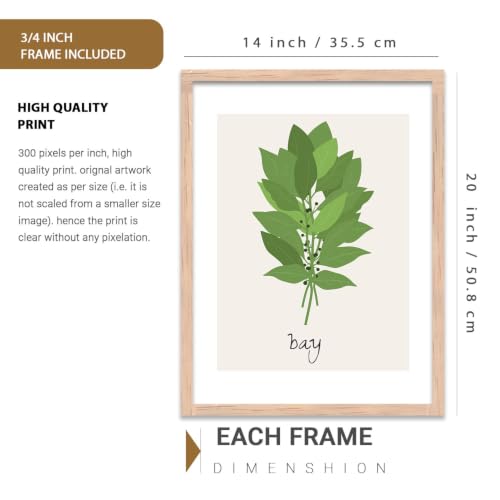 Image of kotart Cooking Herbs Digital Painting for Kitchen, Dinning Room Wall Decoration - Minimal Art Prints Restaurant Decor (14X20 Inch, G) Pack of 6