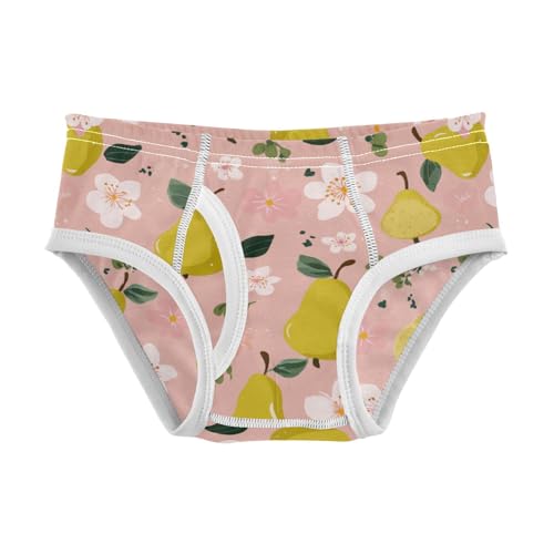 Wusikd Pears Flowers Boys' Underwear Cotton Boys Briefs Soft Toddler Underwear 2T