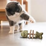 Creative Fish Bone cat Toy, cat Teeth Cleaning, cat Mint Chewing Stick Toy, Scratch Resistance, Three Flavors (Three Pieces) - Image 3