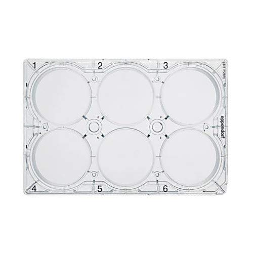 Eppendorf 38110030, CCCadvanced FN1 Motifs 24-Well Cell Culture Plate with Lid, Flat Bottom, Sterile, Human and Bacterial DNA-Free, Non-cytotoxic, Pack of 5