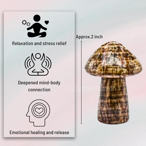 Image of Certified Aragonite Crystal Mushroom - Crystal Palm Stone for Reiki Healing, Energy Chakra Balancing, Meditation Yoga Agate Stone - Feng Shui Spiritual Gift for Pooja