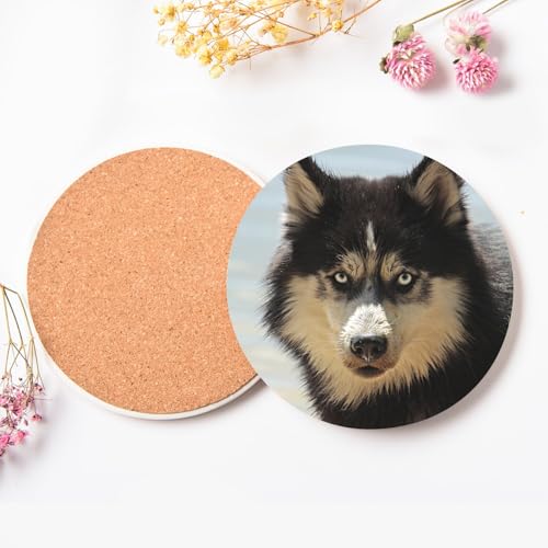 Sous-verre céramique husky de qualité premium avec support en liège - 4