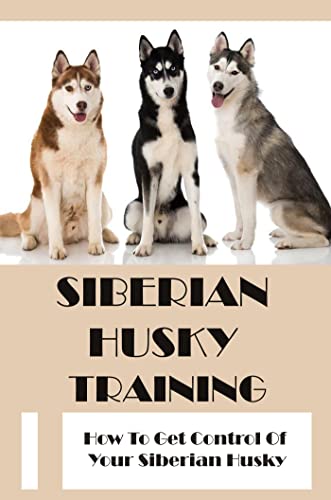 Siberian Husky Training Control Guide