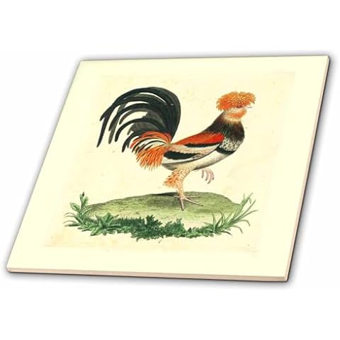 3dRose French Rooster Print Ceramic Tile Cover