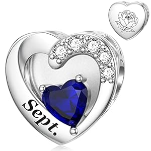 SEVENWELL Birthstone Charms with Birth Month Flower Engraved Fit Charms Pandora Bracelet 925 Sterling Silver Beads Charms Happy Birthday for Women Jewelry Gift