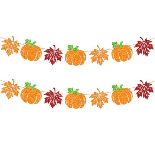 Fall Decor Pumpkin Maple Leaves Banner Pre-Strung Thanksgiving Decorations Fall Decorations for Home Office Wall Mantle Fall Autumn Harvest Decor