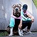Spark Paws Hunde-Kapuzenpullover, Premium-Qualität, samtweich, überlegener Komfort und Passform, beruhigendes Fleece-Innenfutter, geeignet für alle Rassen, Mehrfarbig Cyber Punk, Größe 4XL