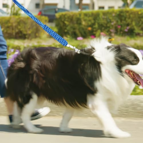 Cuerda Tendedero Exterior, Línea de Lavado Nailon Trenzado 20m Tender Resistente Jardinería al Aire Libre Tendedero Líneas Cuerdas Ropa Multifuncional Reemplazo para Acampada Camping Jardín Garaje - imagen 3