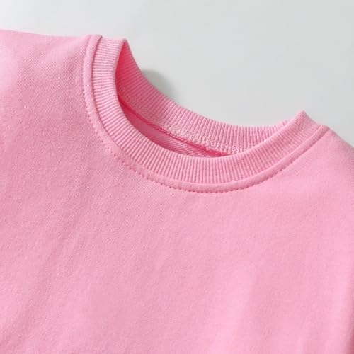Image of HILEELANG Toddler Girl Fall Outfits Clothing Pants Set Sweatshirt Cotton Strench Leggings Playwear Sets 2pc