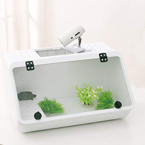 Large Reptile Tank – An Aquarium with a See-Through, Easy Access Front Panel