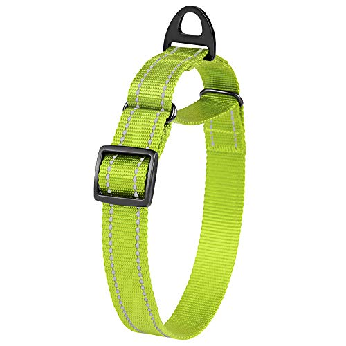 Collardirect Reflective Martingale Dog Collar Nylon Training Collars For Small Medium Large Dogs Puppy Pink Orange Green (S, Neck Size 11"-15", Lime Green) #TOP2