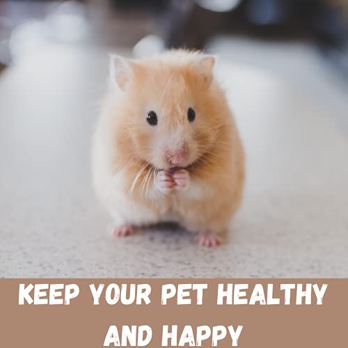 Savic-Martha-Double-Hamster-Guniea-Pigs-Cage-Cage-Contains-a-House-Two-Platforms-Ladder-Bowl-Exercise-Wheel-and-Bottle-Fun-and-Activity-Cage-for-Small-Pets-19-x-12-x-11-inch