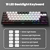 LAMA Mini 60% Teclado mecánico de 61 teclas con switches rojos, retroiluminación LED, teclado gamer alámbrico portátil para laptop, PC, gamer, mecanógrafo, MAC, PS4, Xbox ONE (Negro+Blanco) 6