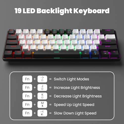 LAMA Mini 60% 61 Keys Mechanical Keyboard with Red Switches, LED Backlit, Small Portable Gaming Wired Keyboard for Laptop, PC, Gamer, Typist, MAC, PS4, Xbox ONE Gamer (Black+White) by LAMA - Image 3