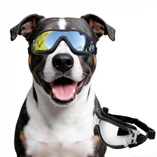 PETLESO Dog Goggles Large Breed