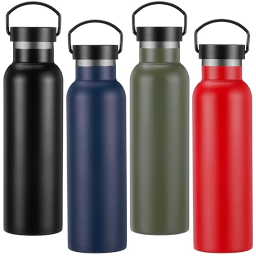 LemonRoad Insulated Stainless Steel Water Bottles (4-Pack)